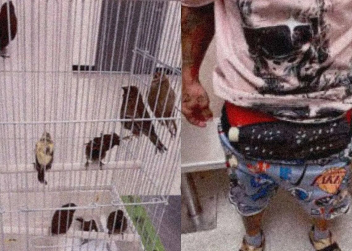 Man Arrested at Miami Airport After ‘Unexplained Bulge’ Turned Out to Be 10 Live Birds