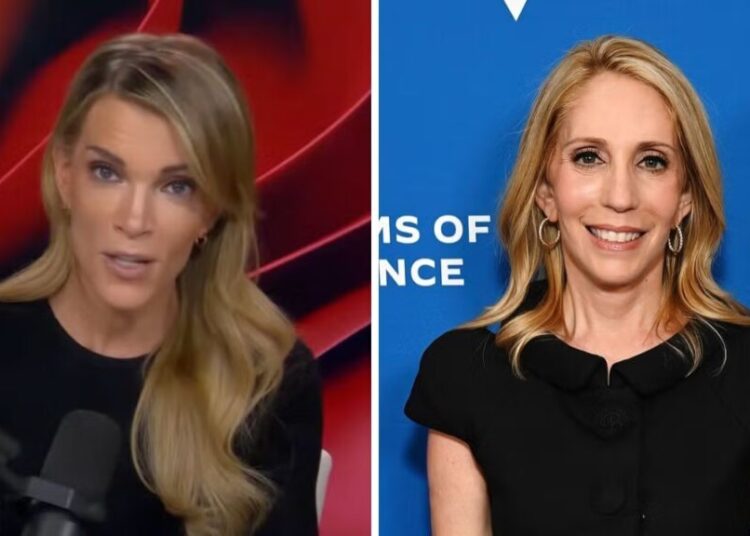 Megyn Kelly Says Dana Bash ‘Looks So Stupid’ After Alaska Democrats’ Dan Sullivan Scam