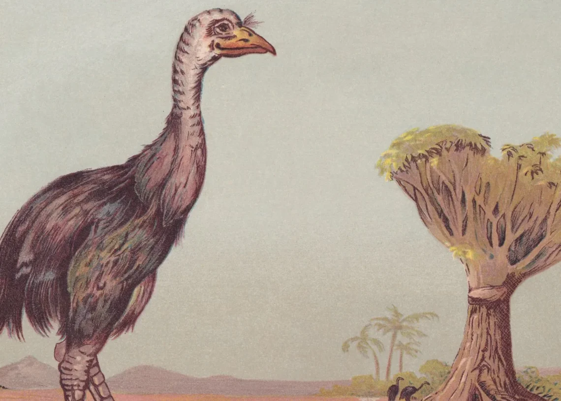 Peter Jackson Bought a 600-Year-Old Egg That Could Help Bring an Extinct Bird Back to Life