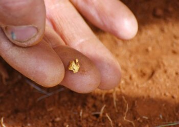 Scammers Are Convincing People to Bury Their Gold in the Woods, and It’s Actually Working