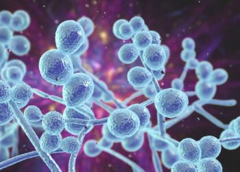 Scientists Found a Fungal Strain Resistant to All Four Antifungal Drug Classes Tested