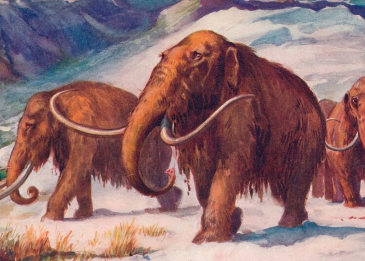 Scientists Just Discovered That Humans Accidentally Prevented Another Ice Age