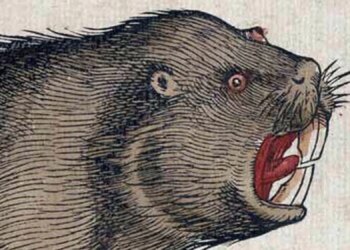 Scientists Just Discovered That Neanderthals Loved Eating Beaver