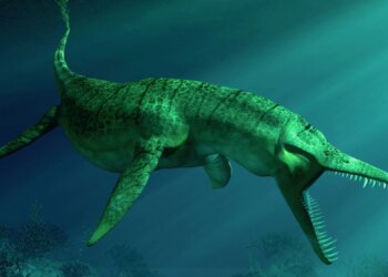 Scientists Just Found 160-Million-Year-Old Fossilized Vomit From a Jurassic Sea Monster
