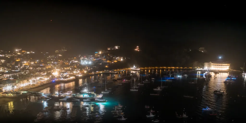 Night view of Avalon Harbor and the surrounding town of Avalon on Santa Catalina Island, California, illuminated by city lights.