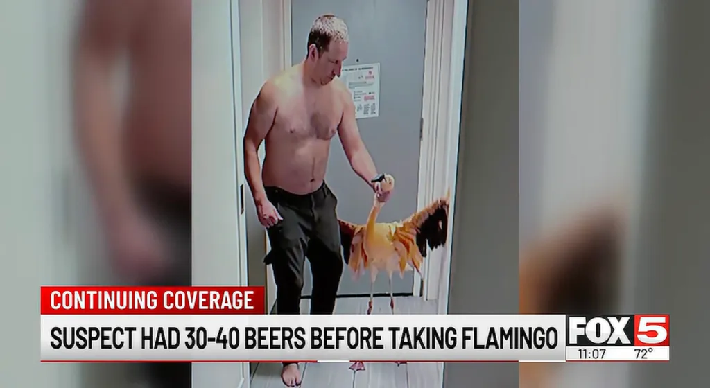 A shirtless man leading a flamingo by the neck through a doorway.