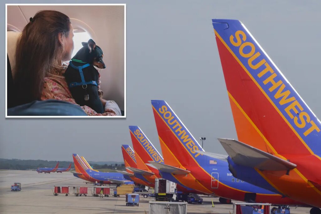 Southwest flight attendant who gets ‘violently ill’ from pets sues airline for being forced to work on flights with cats and dogs