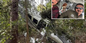 Pilot, wife and dogs survive dramatic tree-top crash landing after plane suffers engine failure: ‘Just pray’
