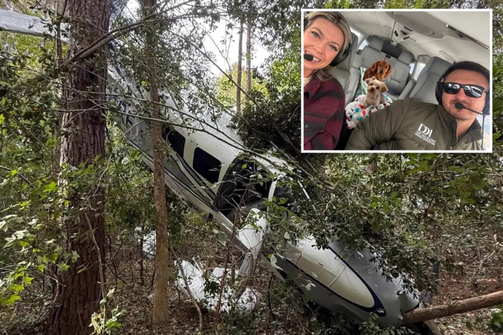 Pilot, wife and dogs survive dramatic tree-top crash landing after plane suffers engine failure: ‘Just pray’