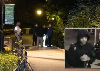 Creep wanted for raping woman at knifepoint in Central Park pictured for first time