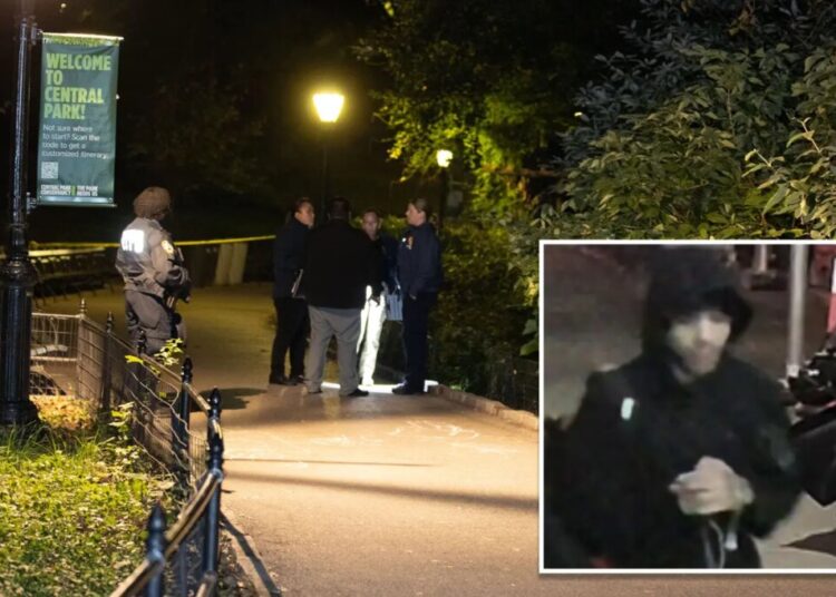 Creep wanted for raping woman at knifepoint in Central Park pictured for first time
