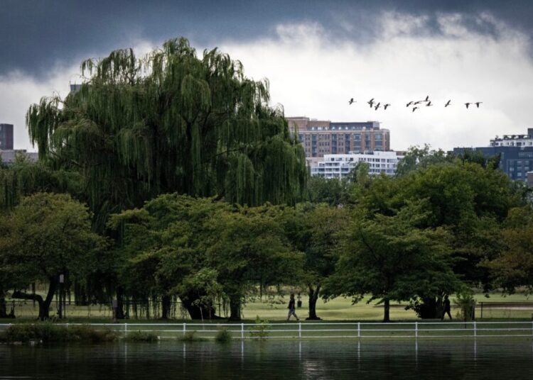 Tell The Post: Share your memories of East Potomac Park
