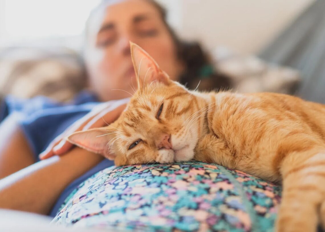 Why Spending Time With Your Cat Feels So Good, According to Science