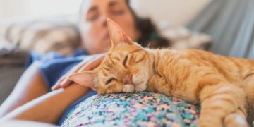 Why Spending Time With Your Cat Feels So Good, According to Science