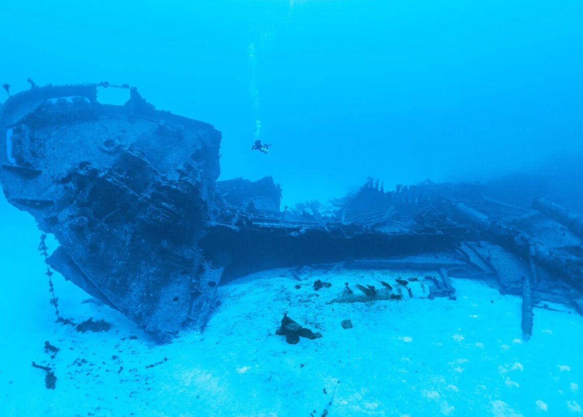 World’s Oldest Shipwreck Discovered off the Coast of Turkey. Here’s Everything We Know.