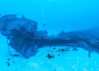 World’s Oldest Shipwreck Discovered off the Coast of Turkey. Here’s Everything We Know.