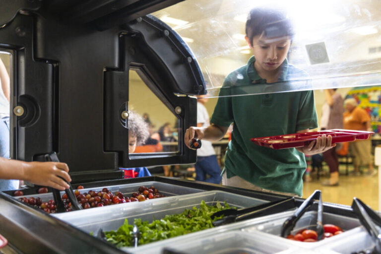 States move to take ultra-processed foods off the school lunch menu – DNYUZ