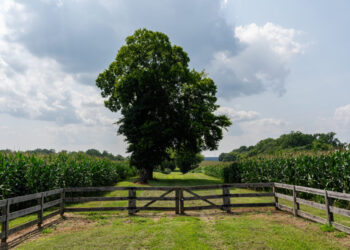 Pocahontas’s father was born here. A developer wants to build houses.