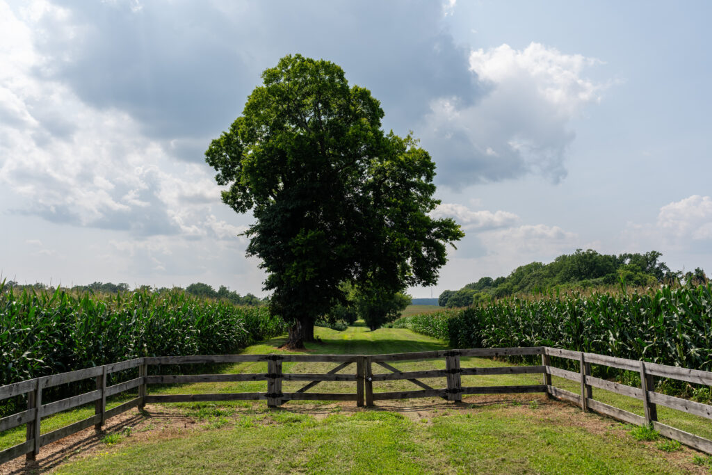 Pocahontas’s father was born here. A developer wants to build houses.