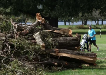 Shaken Trump DOJ begs to ditch judge who grilled officials over razed golf course trees