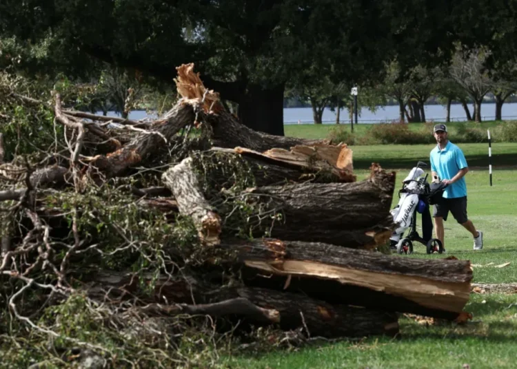Shaken Trump DOJ begs to ditch judge who grilled officials over razed golf course trees