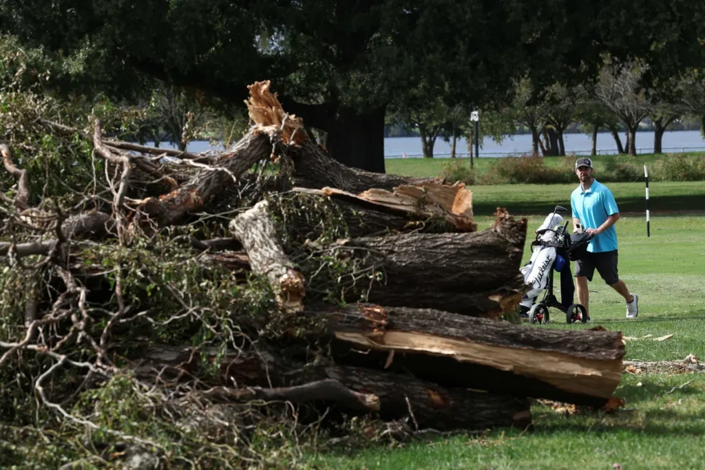 Shaken Trump DOJ begs to ditch judge who grilled officials over razed golf course trees