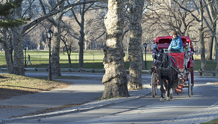 A final farewell to NYC’s horse carriage industry