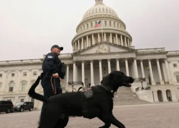 Disgraced ex-GOP congressman faces explosive new sex trafficking lawsuit