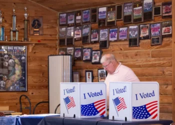Trump voters tear into GOP senator in MAGA focus groups: ‘Out of her depth’
