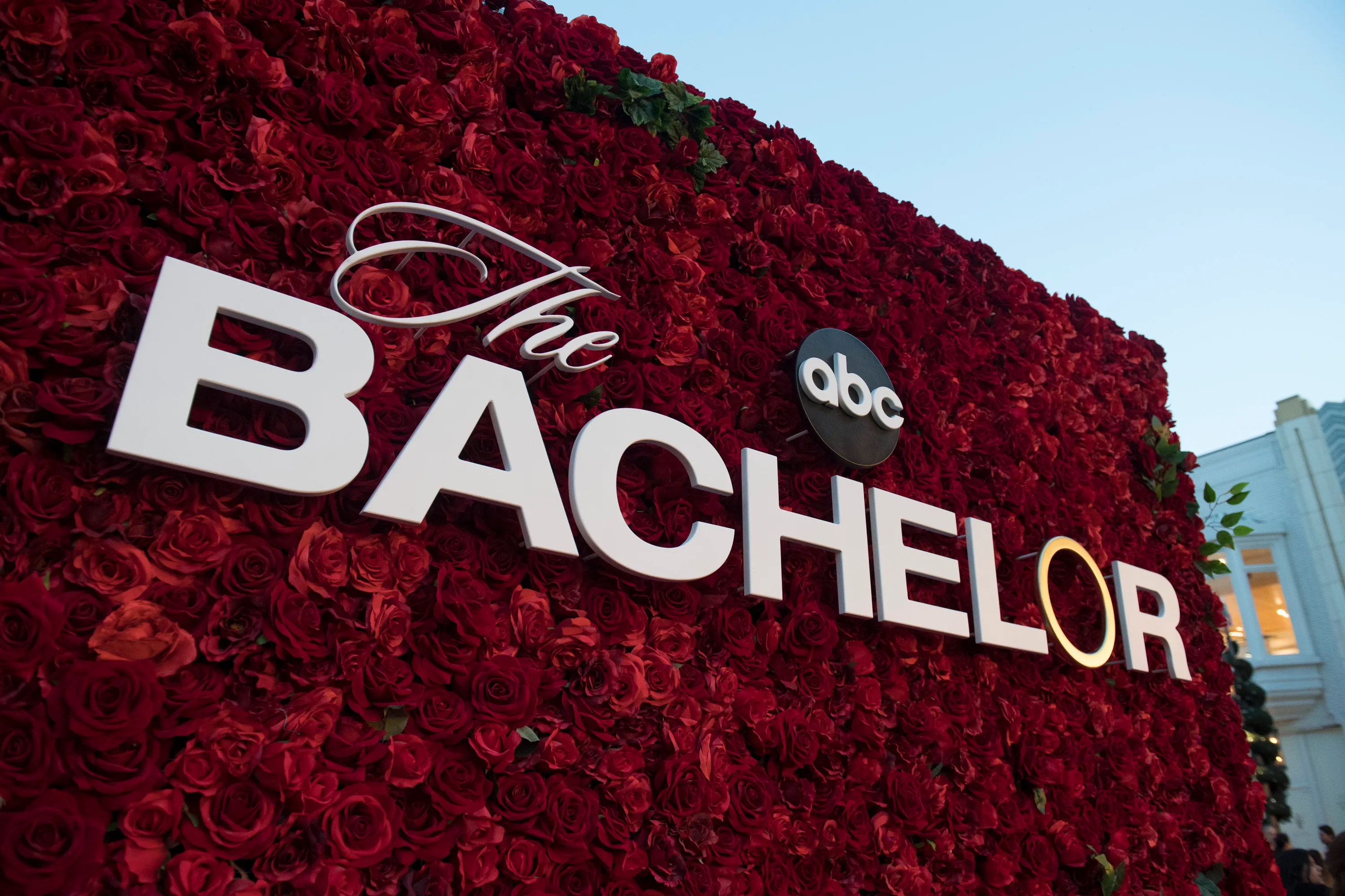 The Bachelor 