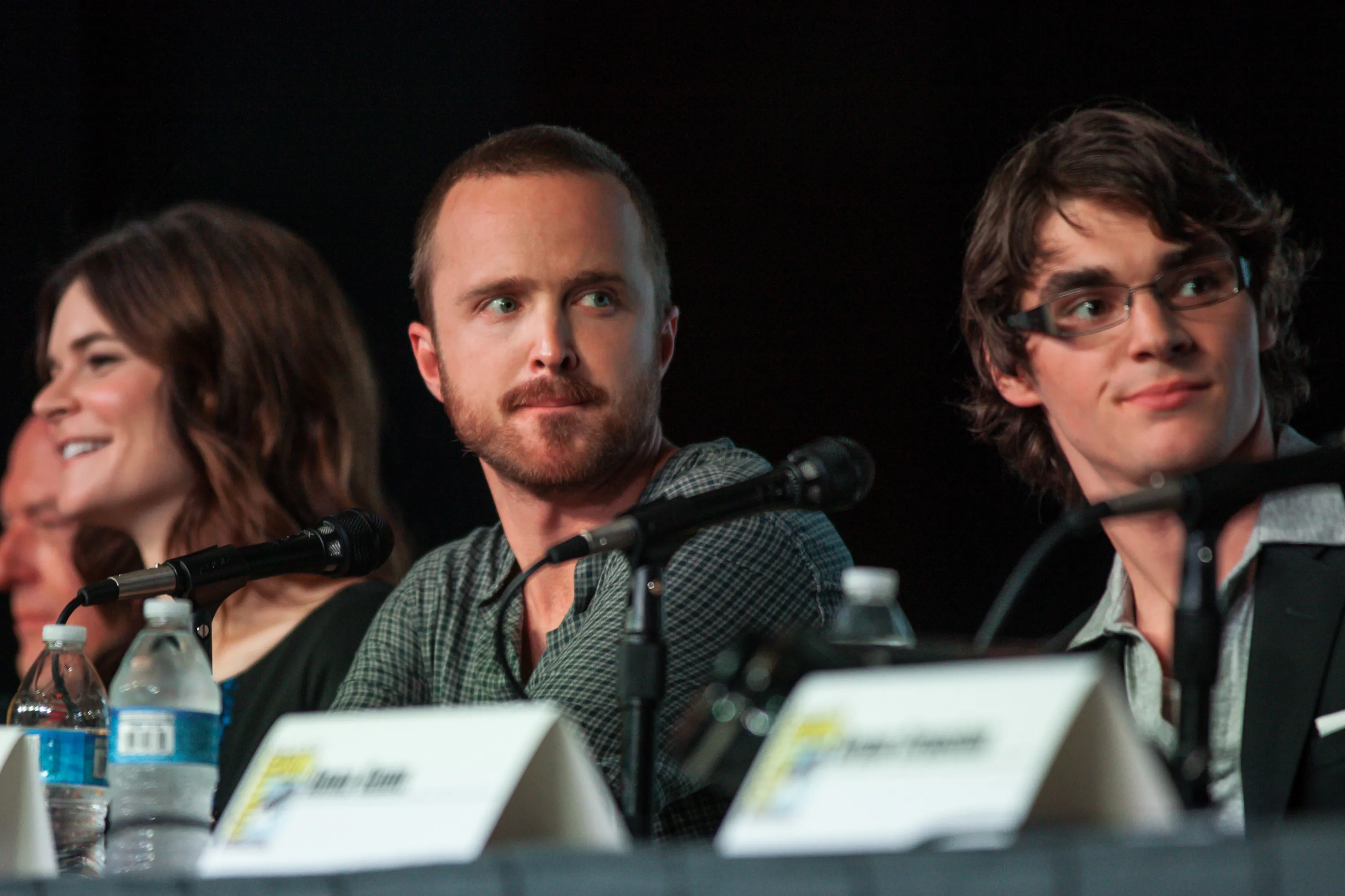 Actors Betsy Brandt, Aaron Paul, and RJ Mitte attend a panel.
