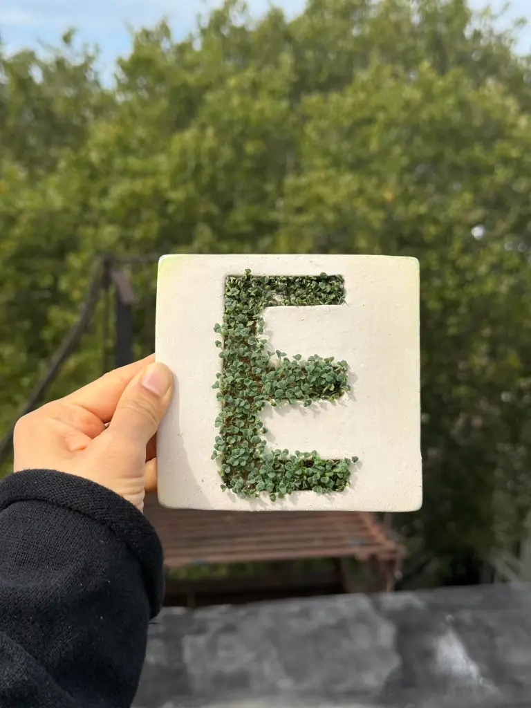 A hand holding a white square tile with the letter 
