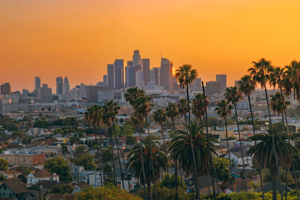 Downtown Los Angeles skyline framed by palm trees at sunset.
