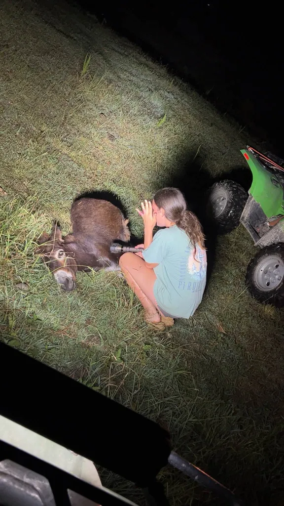 A woman crying beside the deceased baby donkey HeeHaw in a pasture at night.