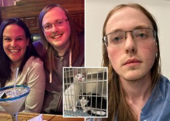 Massachusetts nutjob ‘blew madre to pieces’ after spat over mom’s 84 fostered cats: report