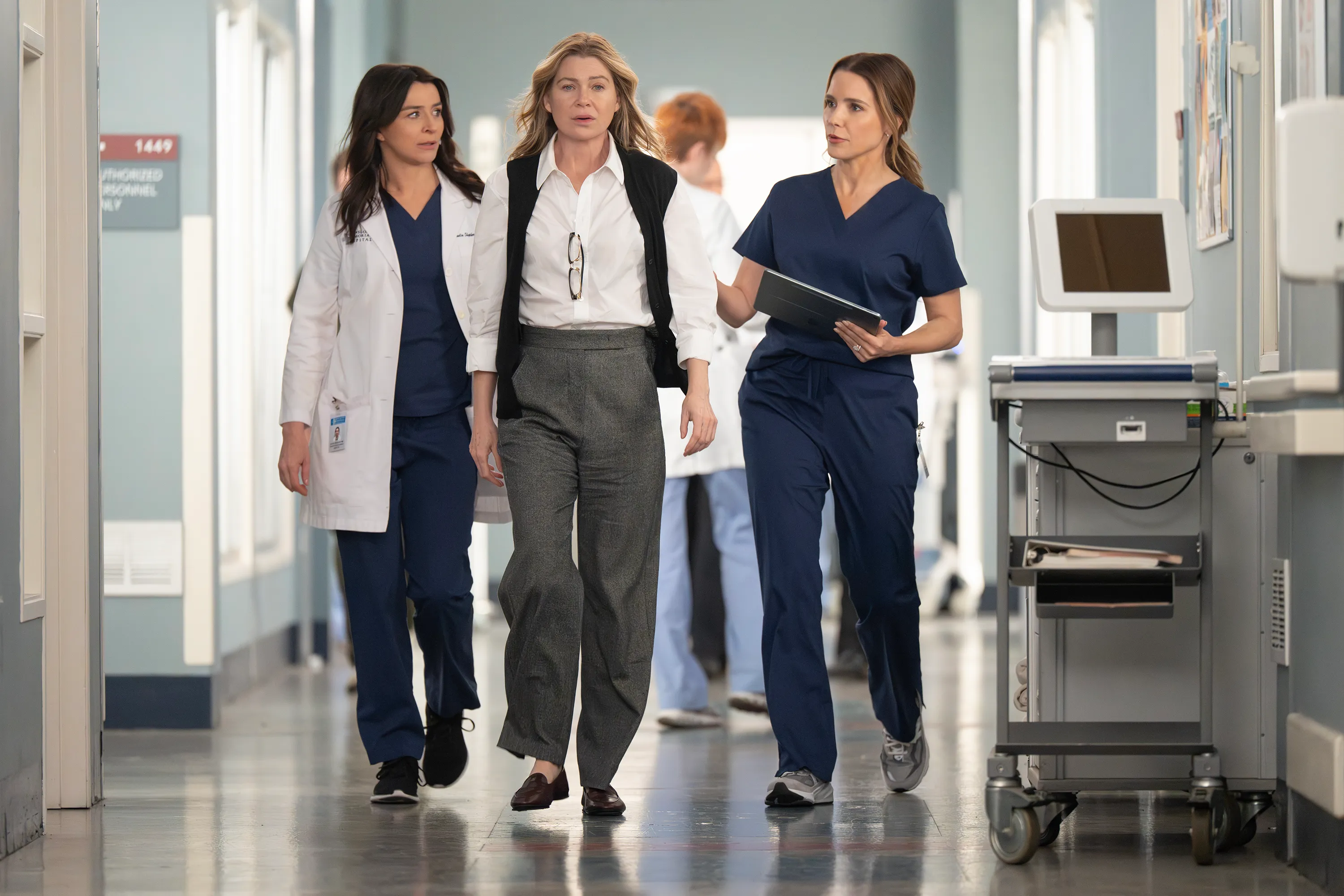 GREY'S ANATOMY -
