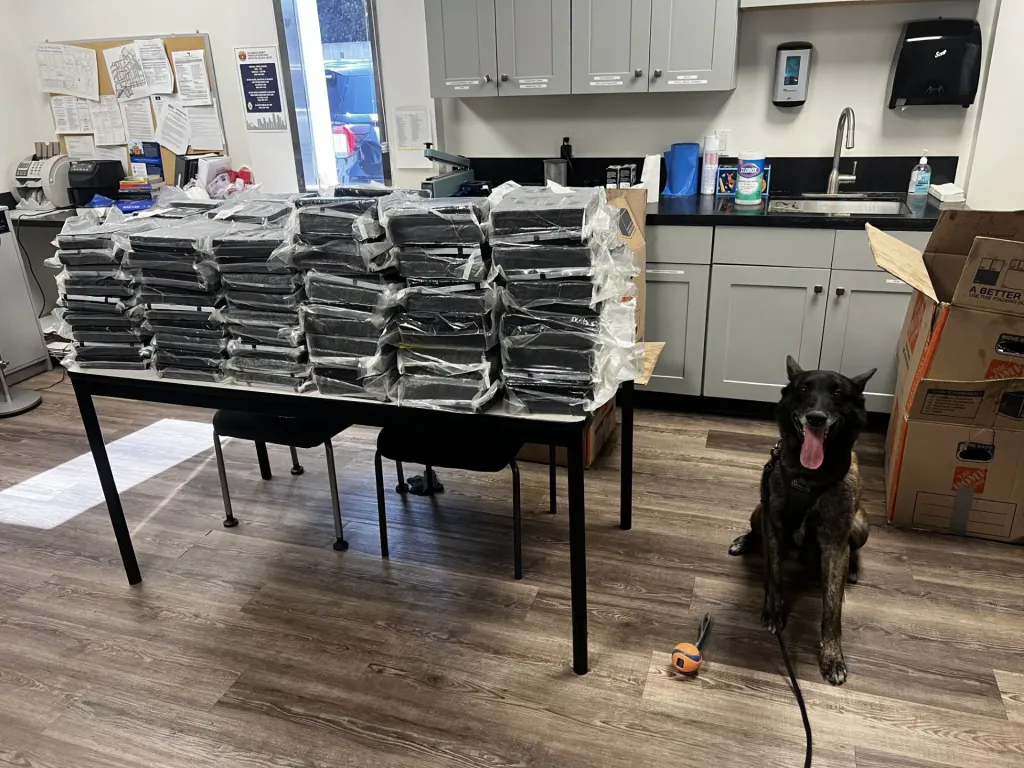 A police K-9 sits proudly next to a large table piled high with stacks of plastic-wrapped cardboard boxes seized during a traffic stop.