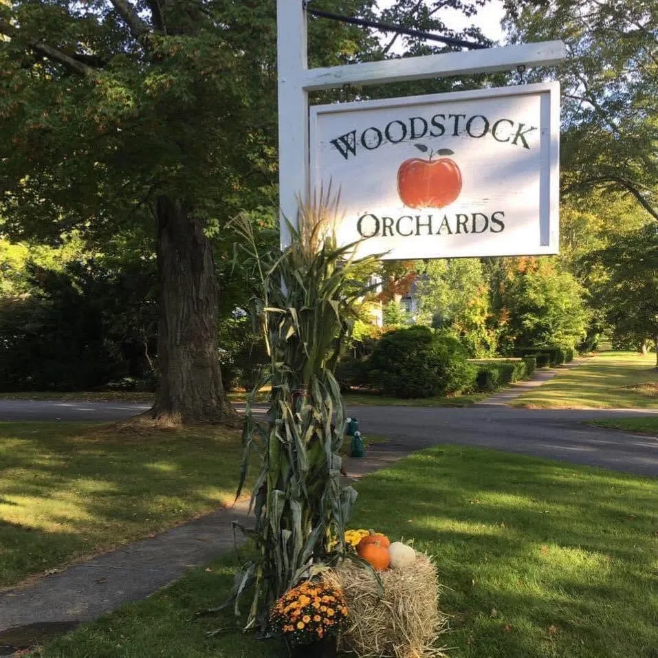 A wooden sign for Woodstock Orchards with a corn stalk, pumpkins, and a hay bale at its base.