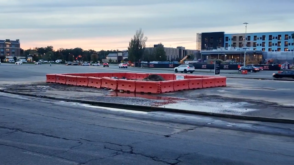 Police launched an investigation into Peralta's death, shutting down Ring Road between Stewart Avenue and Zeckendorf Boulevard for several hours, the outlet reported.