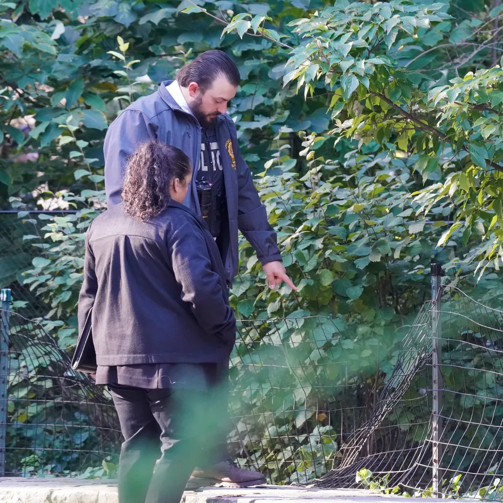 New York City Police Department detectives investigate the scene of a reported sexual assault near a fence in Central Park.