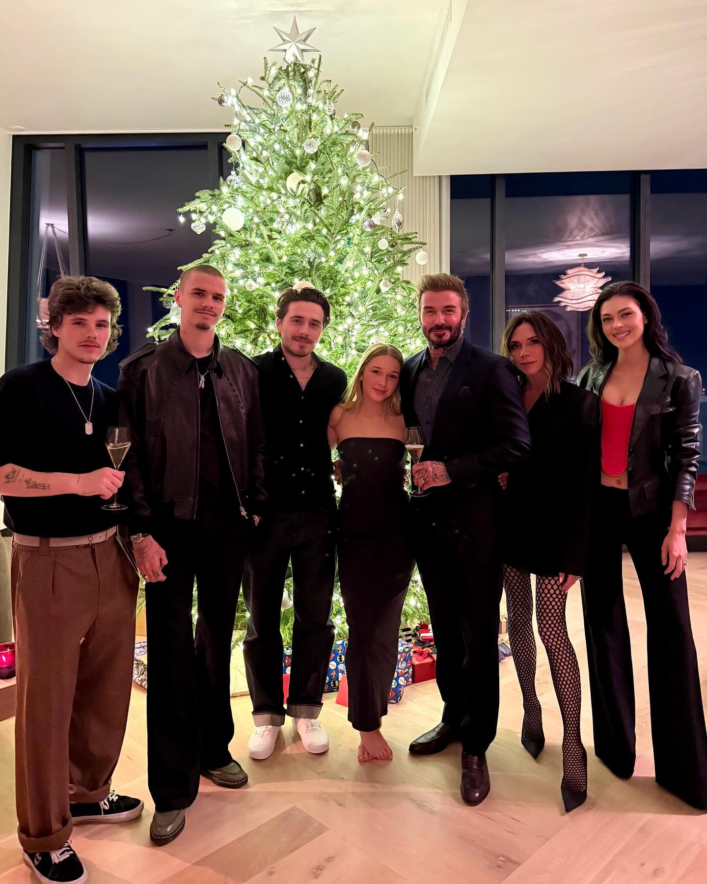 David and Victoria Beckham with family and Nicola Peltz.