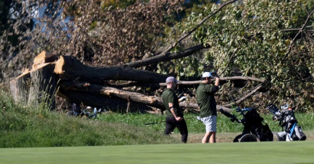 Trump Administration Moves to Close East Potomac Park to Begin Golf Project
