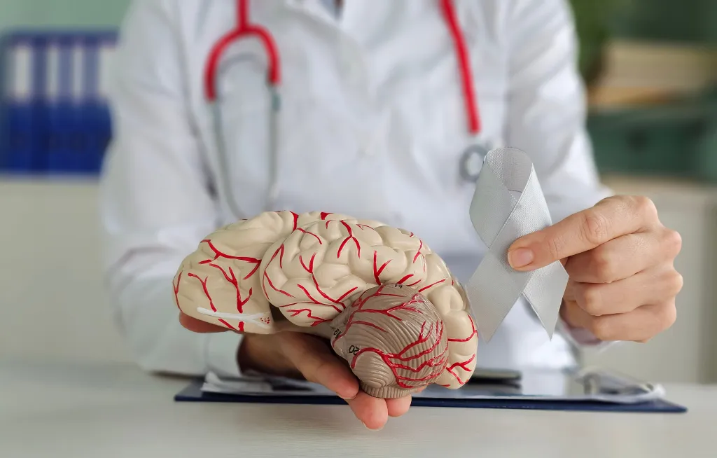 A doctor holding a human brain anatomy model and a gray ribbon for brain cancer and mental health awareness.
