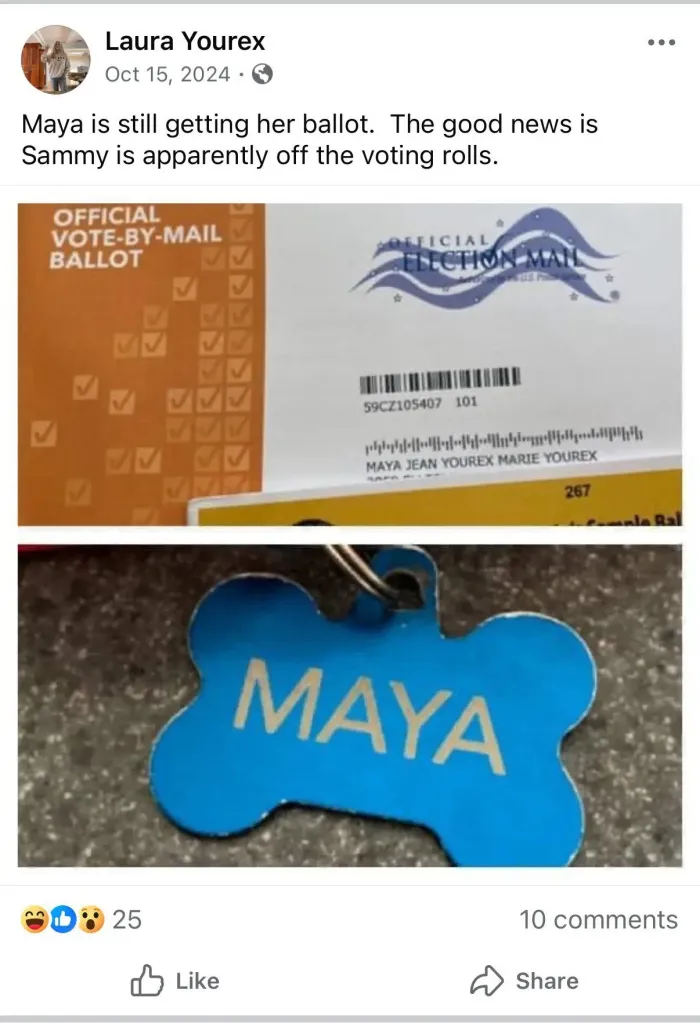 Collage of an official vote-by-mail ballot and a blue dog collar with the name Maya.