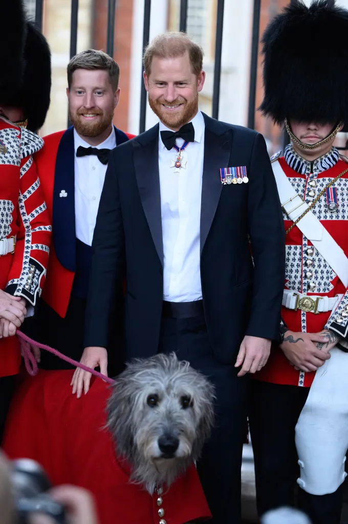 The Duke of Sussex, in a black tuxedo and medals, arriving at the Invictus Spirit Gala Dinner and Awards, flanked by guards and petting a dog.