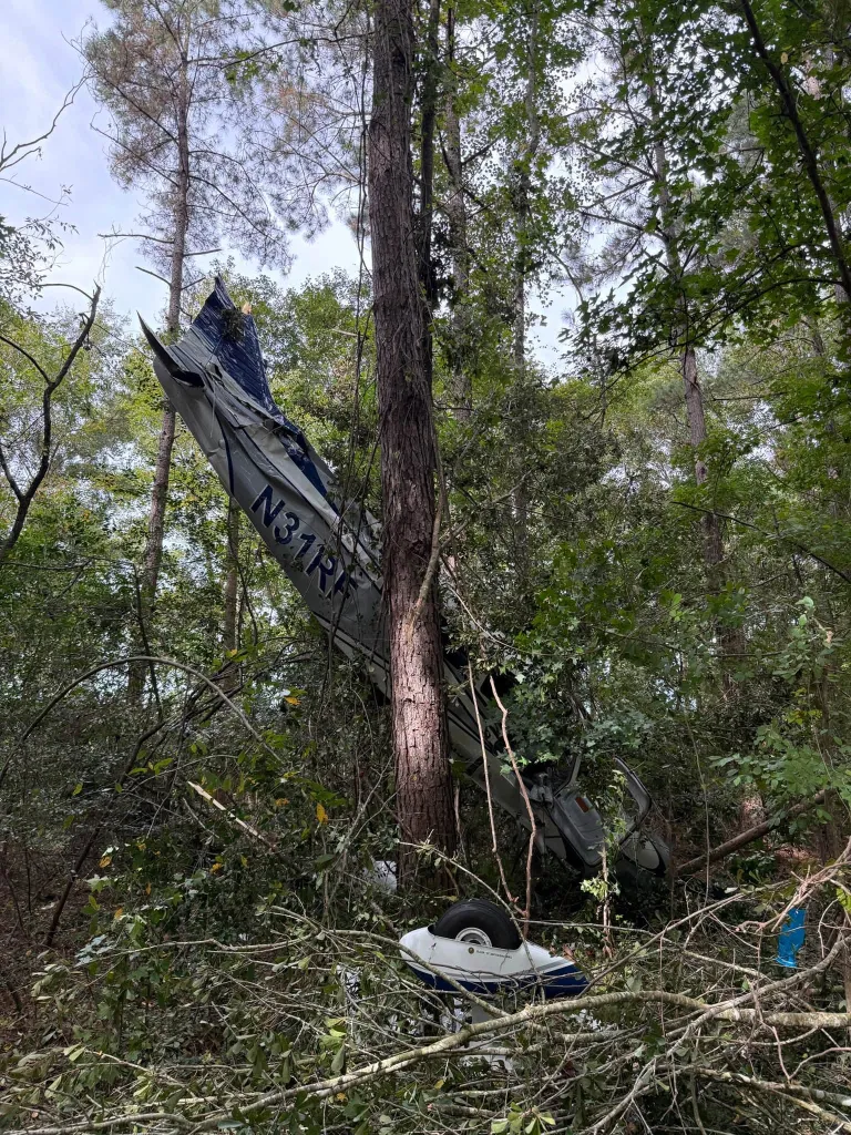A small airplane crashed and wedged vertically between trees in a dense forest.