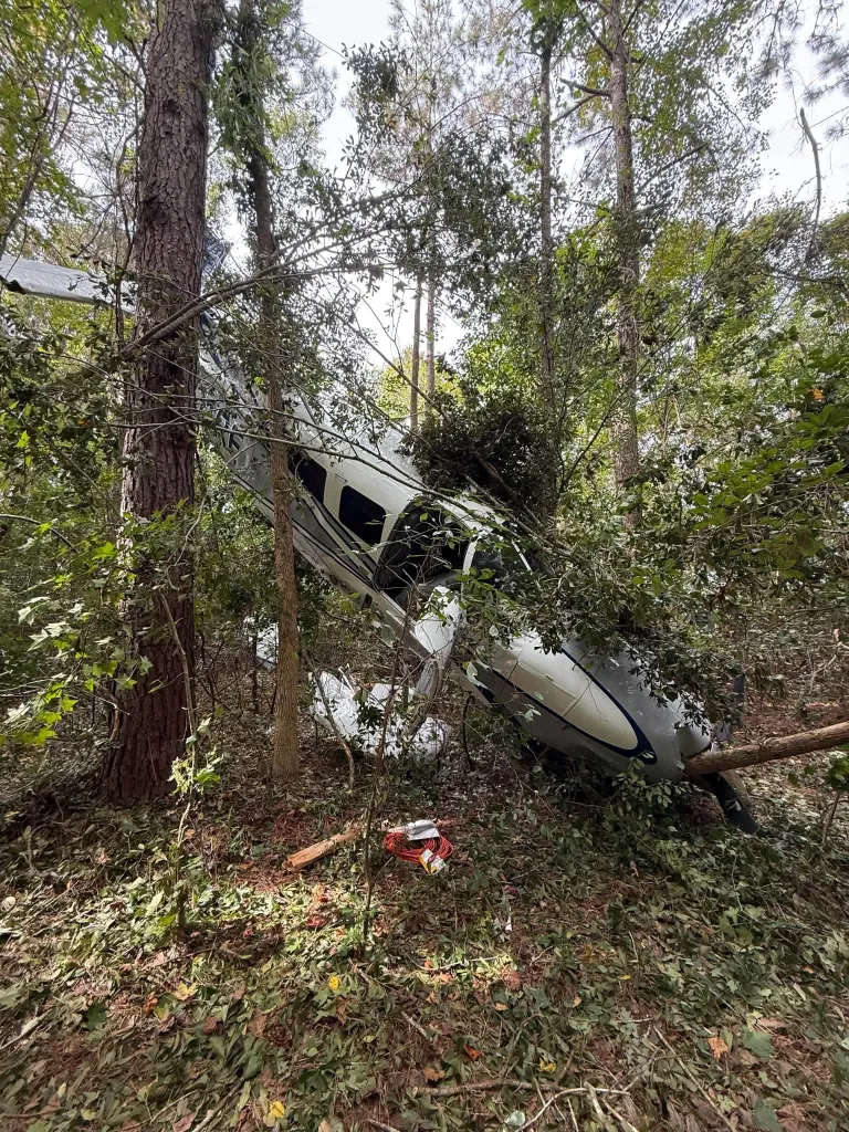 A small white airplane crashed and wedged vertically among tall trees in a dense forest.