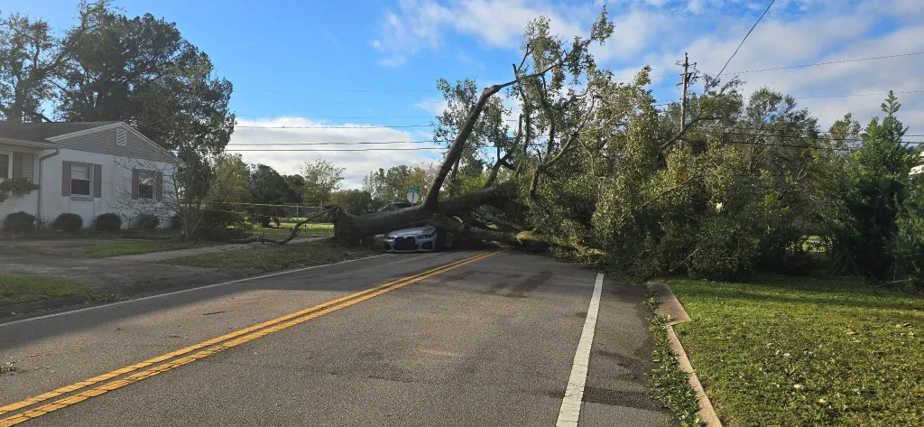 A large fallen tree blocks a road and crushes a car in Escambia County following Hurricane Isaias.