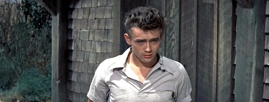 James Dean in a scene from the film East of Eden.