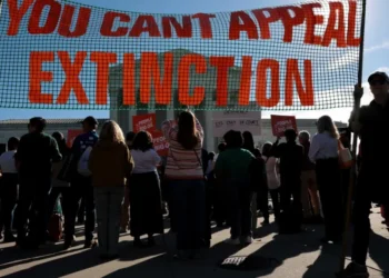 Trump’s America is now the biggest obstacle to stopping a worldwide disaster: expert